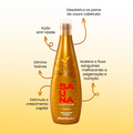 Sauna Capilar Shampoo Águas Termais De Minas 300ml